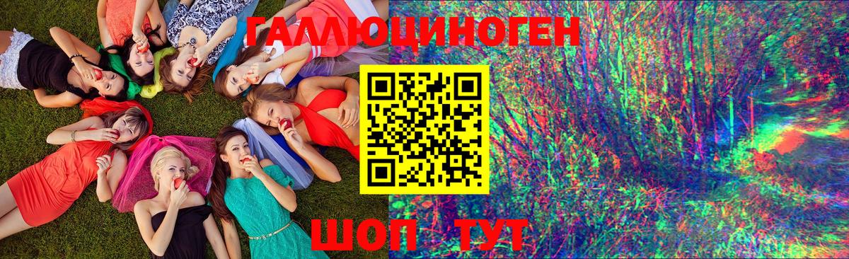 Сокол  Галлюциногенные грибы Psilocybine cubensis  Вход с VPN 